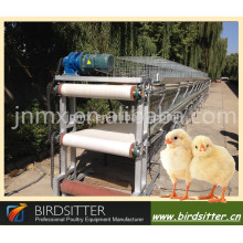2015 automática agrícola jaula de pájaros en China